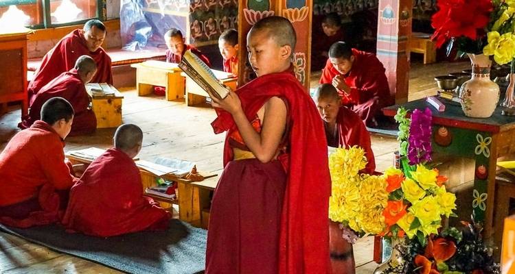 Junge Mönche, die in einem Kloster studieren