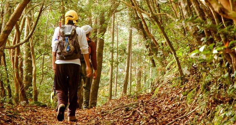 Kioto - Viaje de aventura de 15 días - Chamaeleon 10
