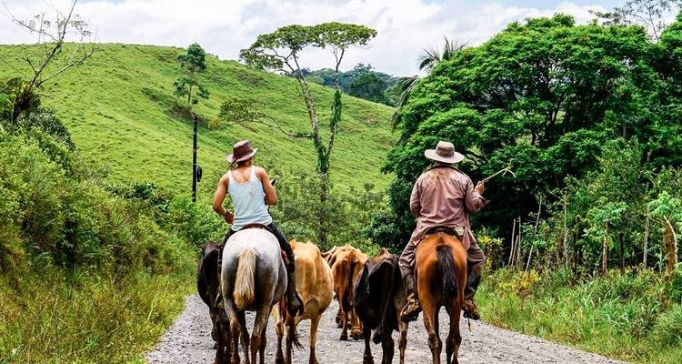 Monteverde Adventure Trip (14 days) - Chamaeleon 10