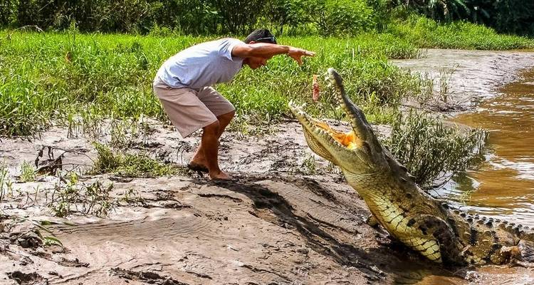 Monteverde Adventure Trip (14 days) - Chamaeleon 9