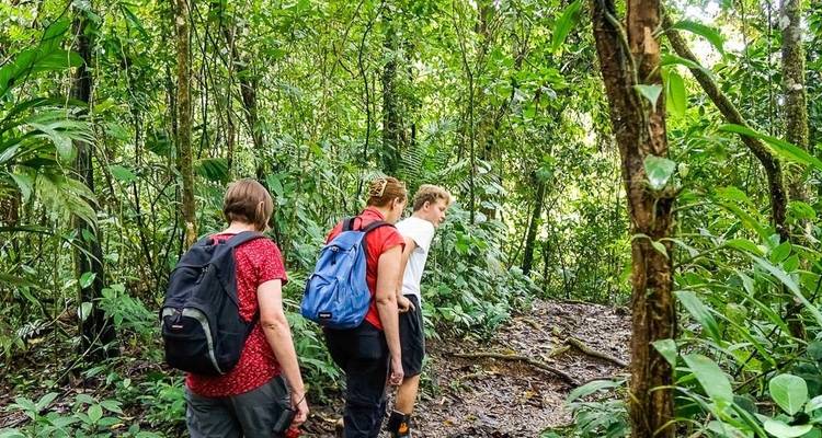 Monteverde Adventure Trip (14 days) - Chamaeleon 8