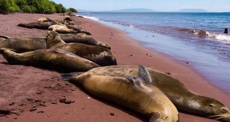 Isabela Adventure Trip (14 Days) - Chamaeleon 10