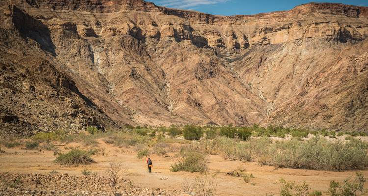 Kalahari - 15 days Adventure - Chamaeleon 3