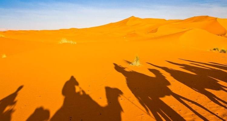 Shadows of camels and people on vast sand dunes.
