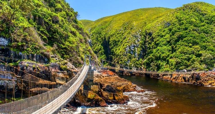 Hängebrücke über einem Fluss, umgeben von üppigem Grün.