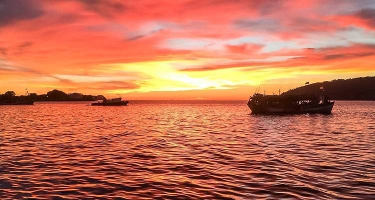 Borneo - 15 days Adventure Trip - Chamaeleon 4