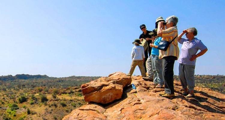Limpopo Adventure - Chamaeleon 6