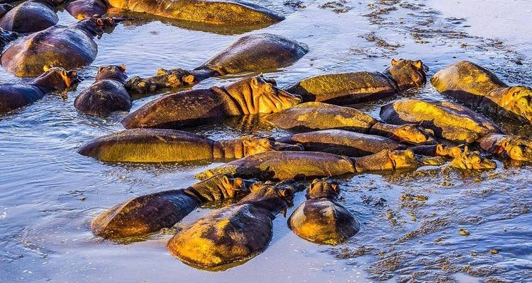 Ngorongoro - Voyage d'aventure de 14 jours - Chamaeleon 9