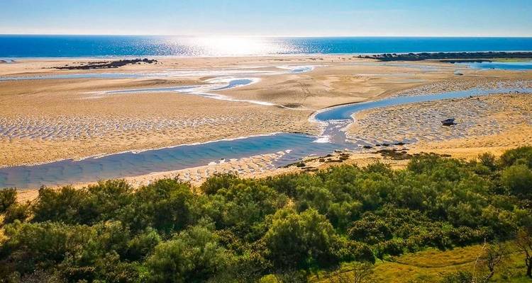 Vue aérienne d'une zone côtière avec des plages de sable et de l'eau.