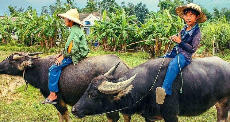 Halong - 15 días de aventura - Chamaeleon 3