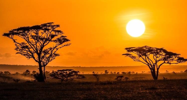 Usambara - Viaje de aventura de 16 días - Chamaeleon 4