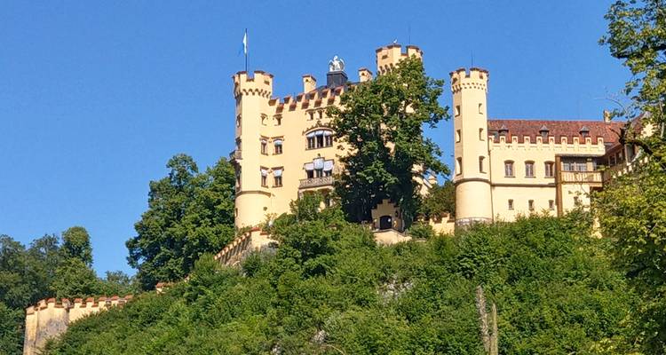 Un château avec plusieurs tours situé sur une colline entourée d'arbres.