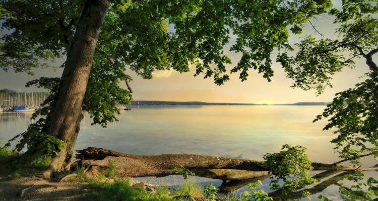 Serene oeverkant van het meer met weelderig groen en kalm water.