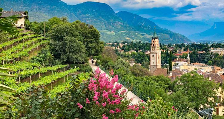 Malerische Stadt mit einem Turm inmitten von Weinbergen und Bergen