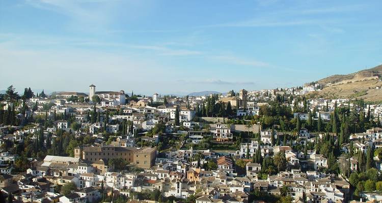 Une vue panoramique d'une ville avec des bâtiments et des arbres densément regroupés.