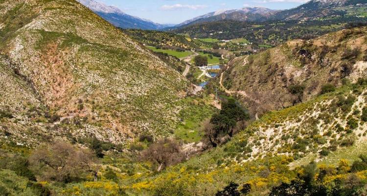 Panoramic view of a valley with mountains in the background.