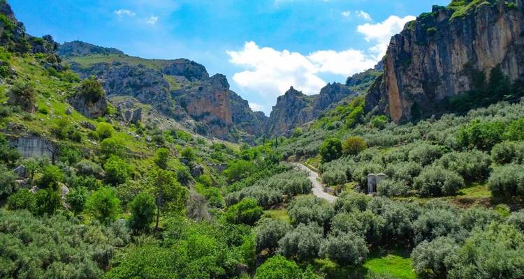 Üppige grüne Schlucht mit steilen Felsklippen und einem gewundenen Pfad unter einem strahlend blauen Himmel