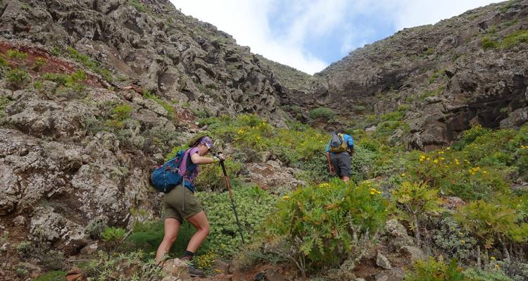 Two hikers climbing a rocky slope covered with vegetation.