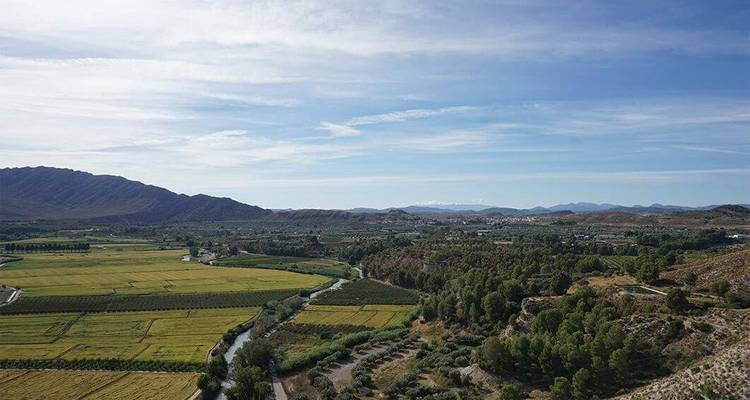 Ein weiter Blick auf landwirtschaftliche Felder mit Bergen in der Ferne.