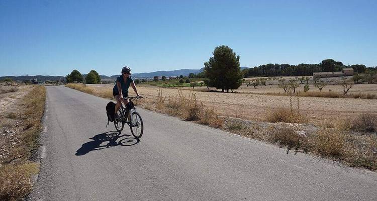 Ein Radfahrer, der auf einer ländlichen Straße mit kahlen Feldern fährt.
