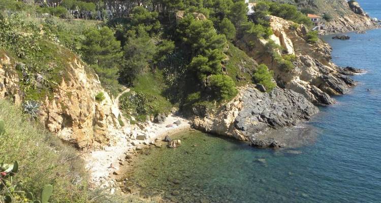 Secluded rocky beach surrounded by cliffs and vegetation.