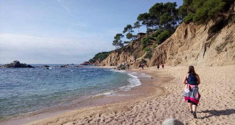 Des gens marchant le long d'une plage pittoresque avec des falaises.