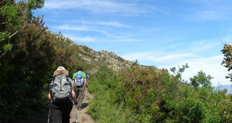 Menschen, die auf einem Pfad wandern, umgeben von Büschen und Hügeln.
