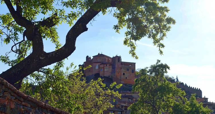 Une forteresse médiévale perchée sur une colline, encadrée par des arbres.