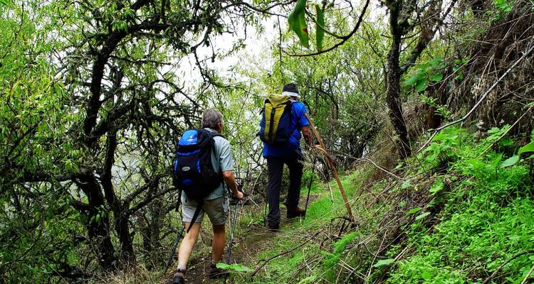 Deux randonneurs marchant sur un sentier forestier verdoyant.