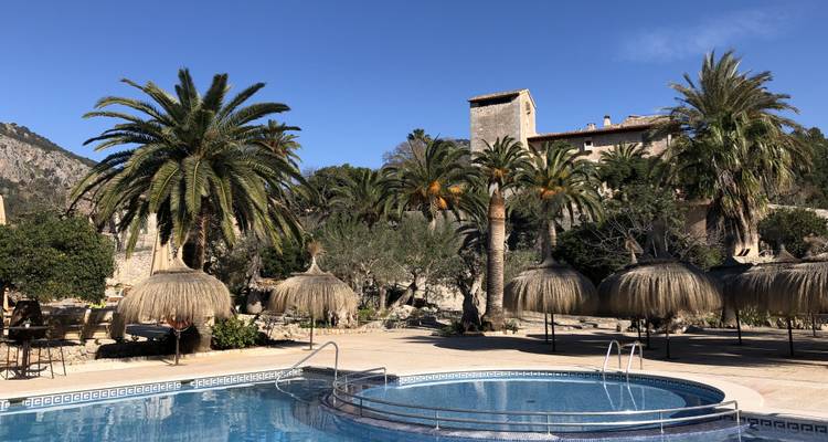 A poolside area with palm trees and thatched umbrellas.