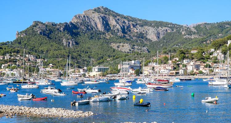 Harbor filled with boats at the base of a hill.