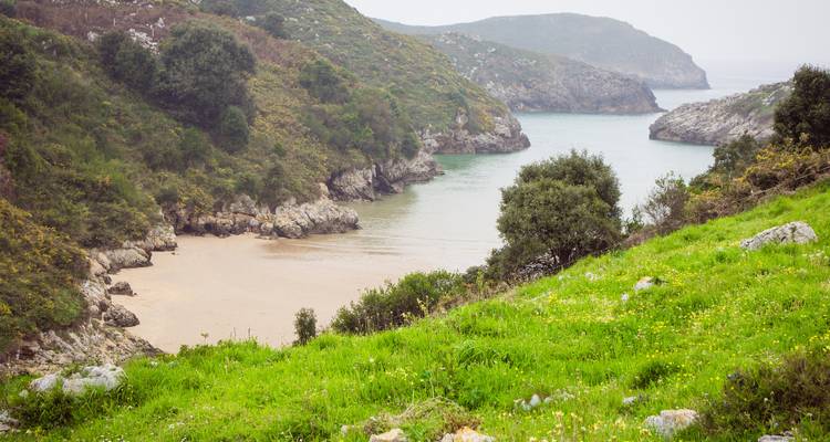 Eine ruhige Küstenbucht mit sanften Wellen, die an ein sandiges Ufer plätschern, umgeben von Grünzeug.