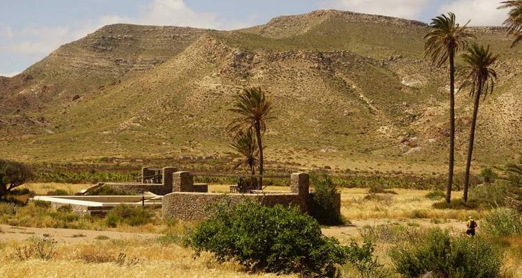 Personne marchant dans un champ avec des palmiers and des collines en arrière-plan.