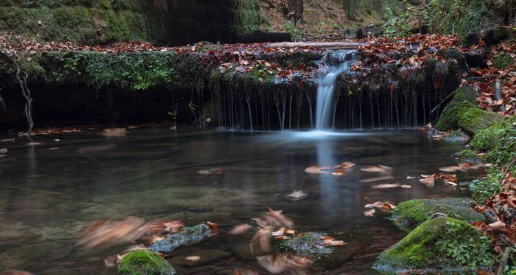 Petite cascade avec des feuilles d'automne.