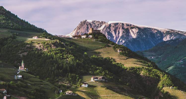 Vineyards and a church spread across green hills with mountains in the background.