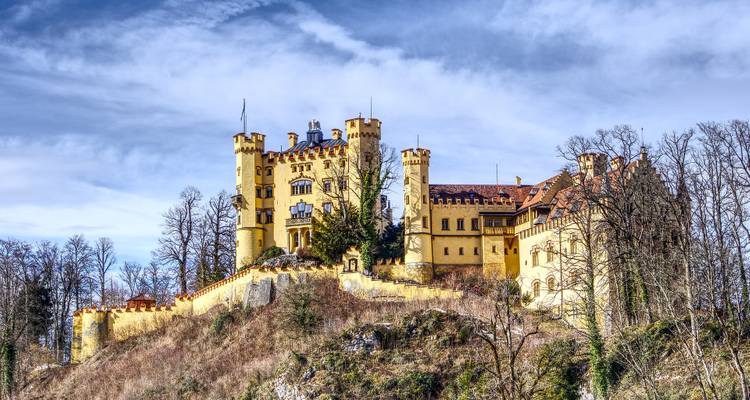 Historical castle on a hill with blue sky and barren trees.