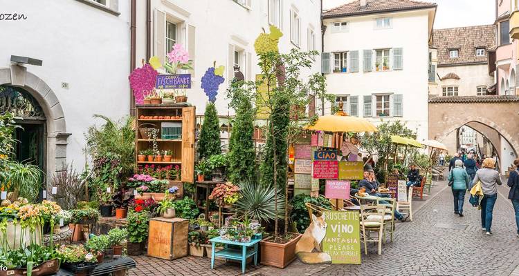 A vibrant street market with plants and signs, people walking.