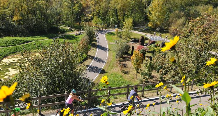 A cyclist in a natural park with vibrant flowers and a curvy path.