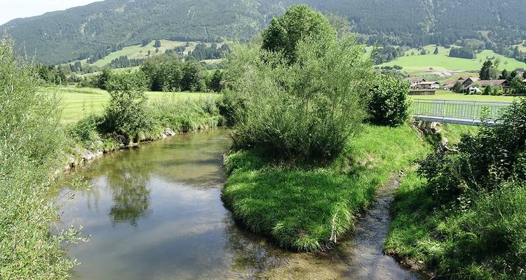 Un ruisseau clair qui coule à travers des champs verts avec des collines en arrière-plan.
