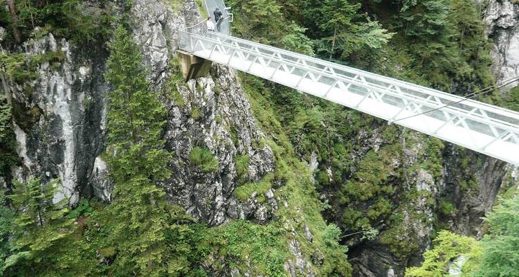 Un puente de cristal sobre un profundo desfiladero con vegetación exuberante.