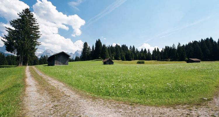 Un champ ouvert pittoresque avec des granges et un chemin de terre sous un ciel bleu.