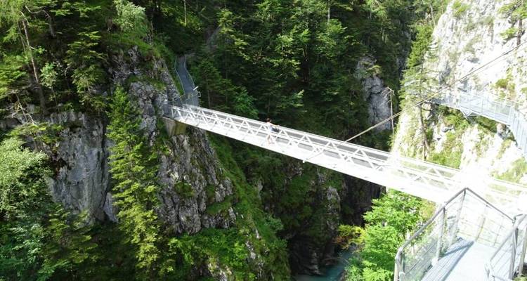 Un puente peatonal que cruza un desfiladero en una zona boscosa.