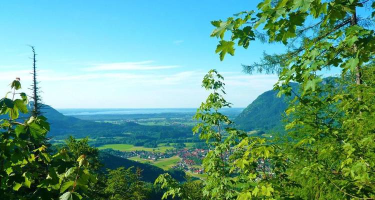 Vue panoramique d'une vallée avec un mélange de champs ouverts and de forêts.