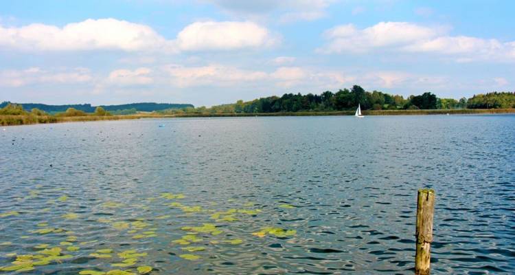 Un lac calme avec un voilier solitaire et des rivages boisés au loin.