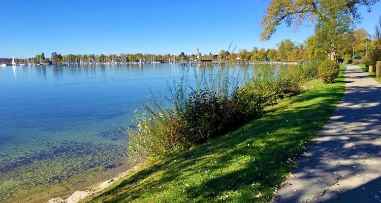 Orilla del lago con agua clara, un sendero y árboles en un día soleado.