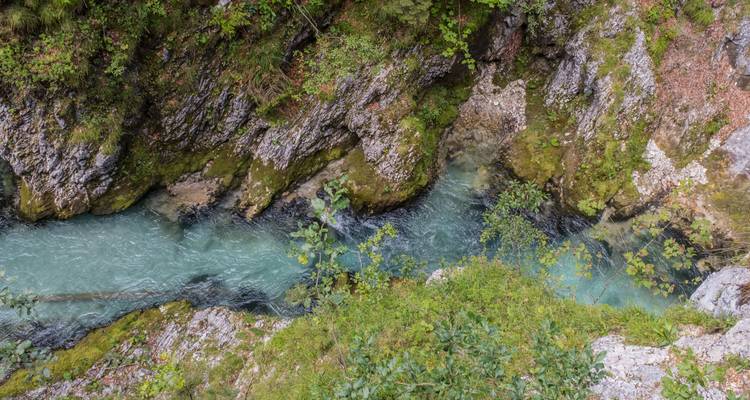 Reißender Gebirgsbach, der durch felsiges Gelände fließt.