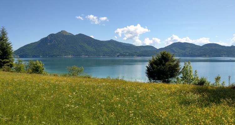 Vue sur le lac avec des fleurs sauvages au premier plan et des montagnes en arrière-plan.
