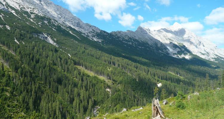 Montagnes boisées sous un ciel bleu.
