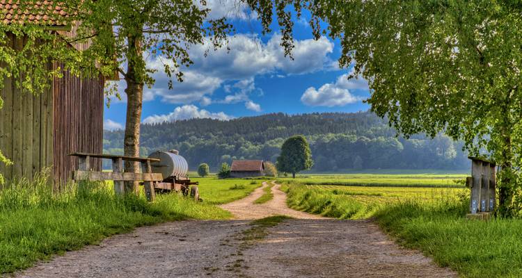 A dirt path leading through a rural landscape with green fields and a distant farm.