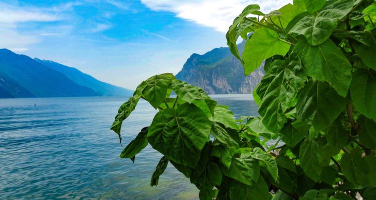 Innsbruck-Venecia: Del Tejado Dorado al mar 10 días (10 días) - ASI Reisen 10